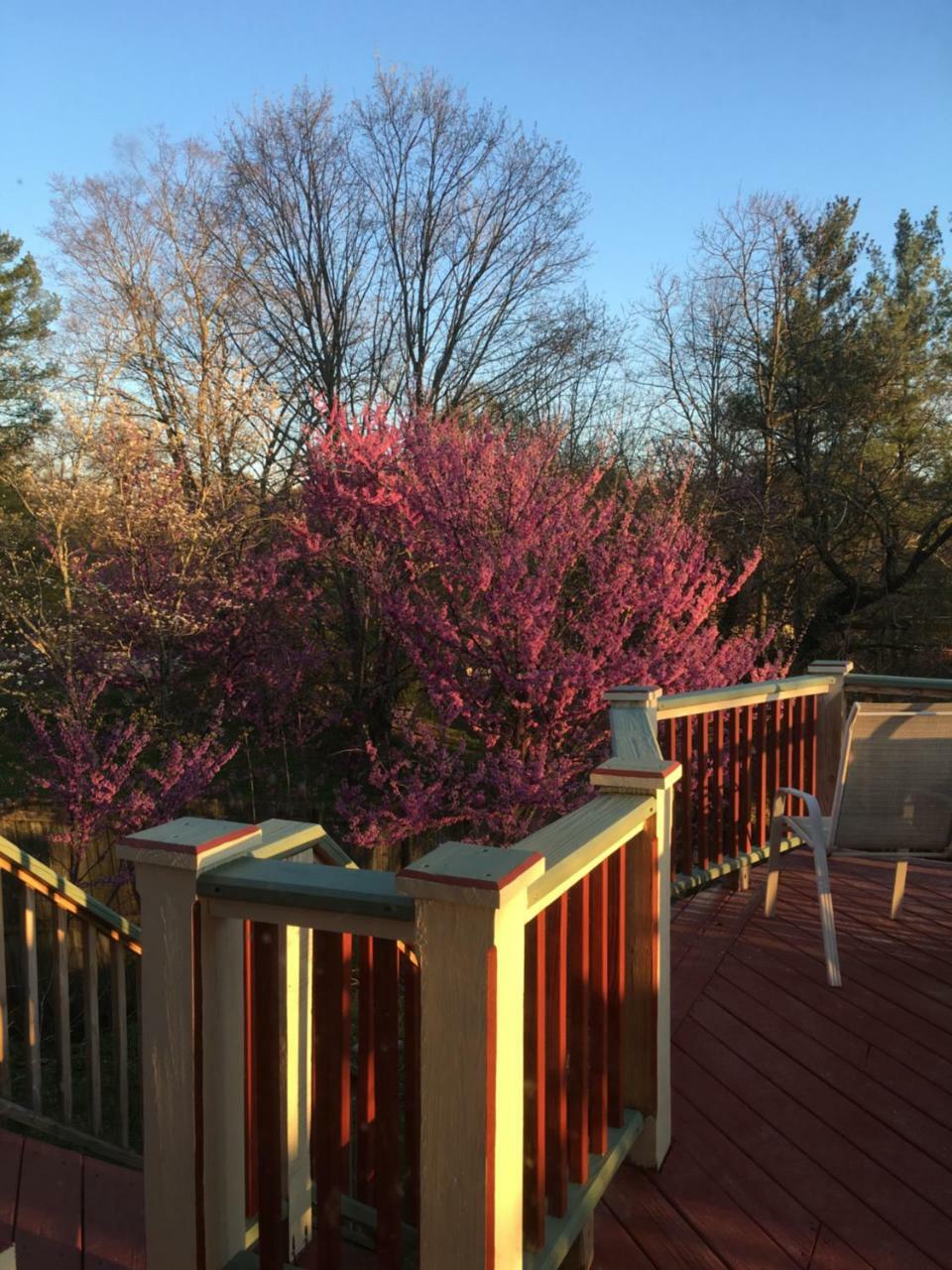 Jonesborough Bed And Breakfast Buitenkant foto